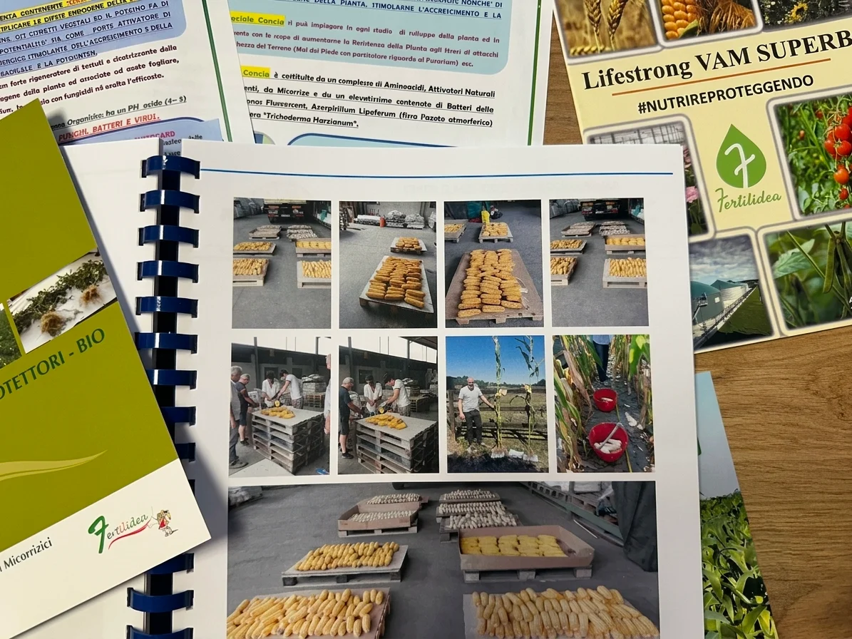 Report tecnici con fotografie delle prove in campo su colture estensive